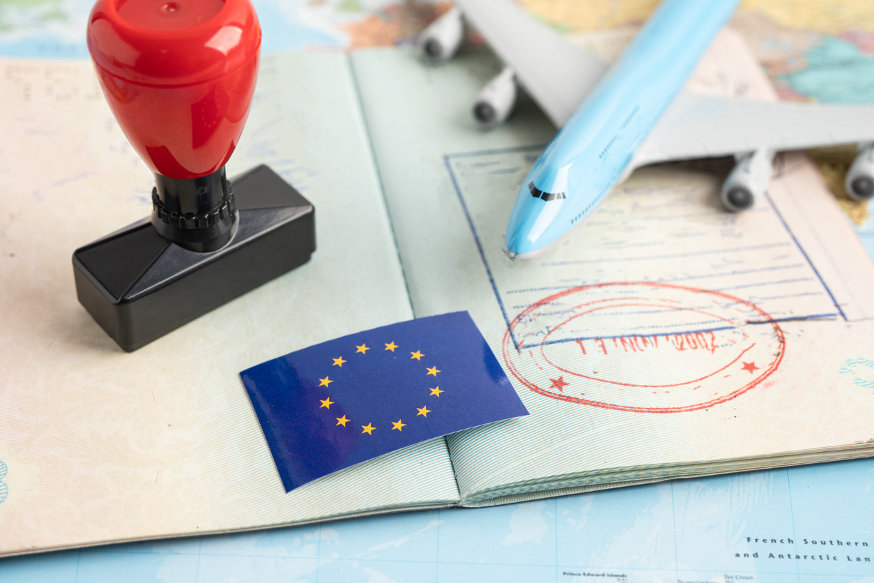 Immigration Law - Half (1/2) an Hour of Consultation, Drafting or Review